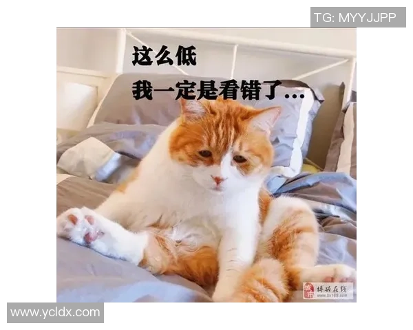 媒体人：跨年准则是早晚要考虑的，跨了才干真实融入国际系统